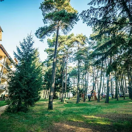 Dmuchawiec * Łukęcin