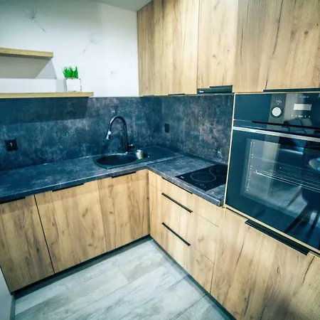 Dmuchawiec Apartment