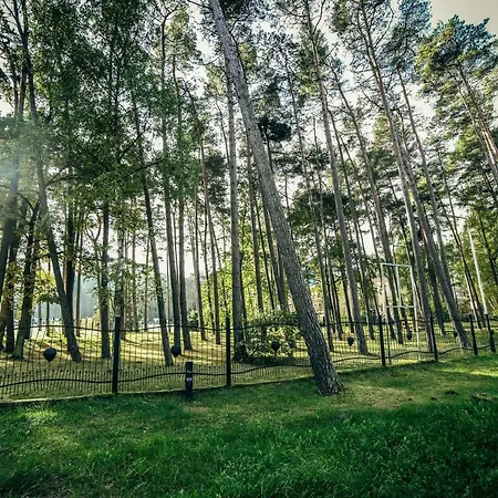 Dmuchawiec Διαμέρισμα *