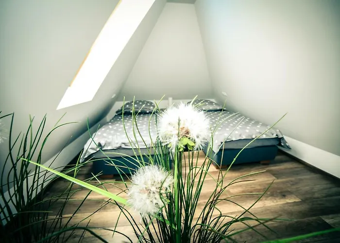 Apartament Dmuchawiec *