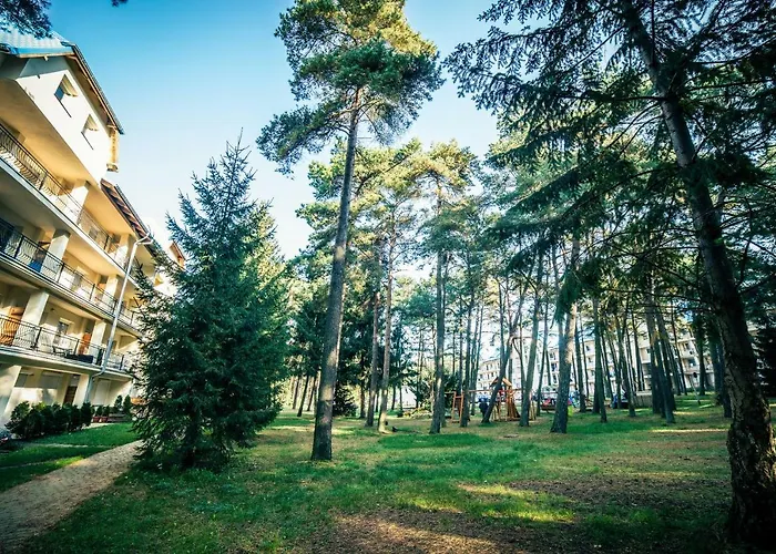 Dmuchawiec * Łukęcin